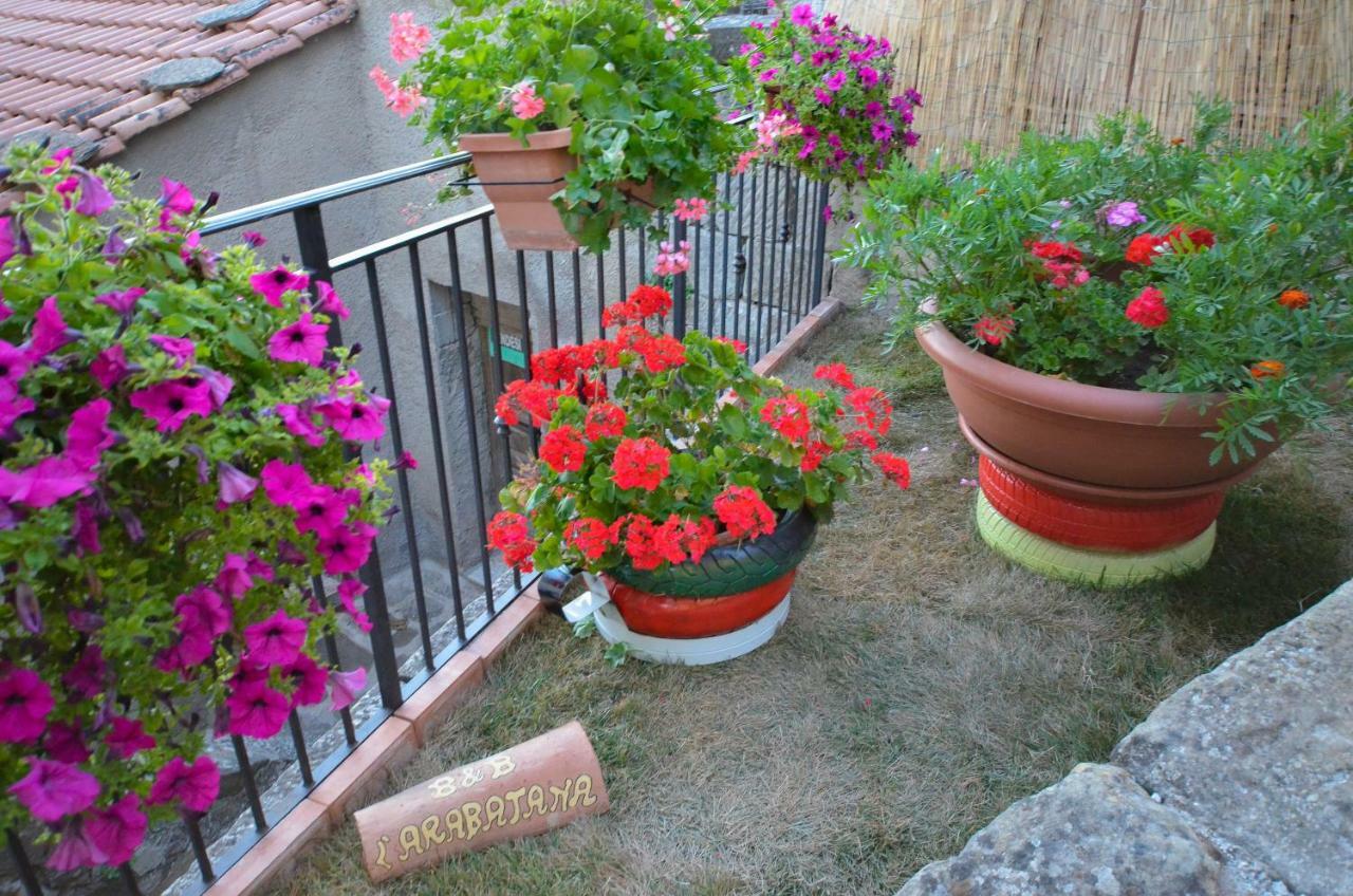 B&B L'Arabatana Pietrapertosa Εξωτερικό φωτογραφία